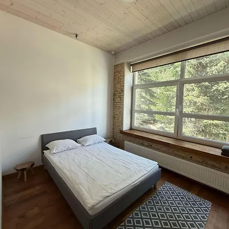 Domillion Huge Newtown 3 Bdr Se16f Vilnius
